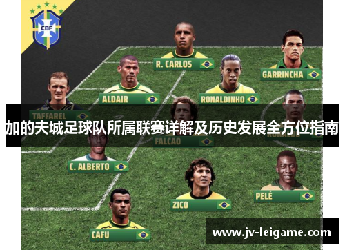 加的夫城足球队所属联赛详解及历史发展全方位指南
