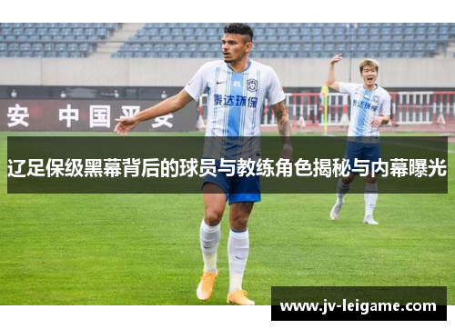 辽足保级黑幕背后的球员与教练角色揭秘与内幕曝光 辽足保级黑幕背后的球员与教练角色揭秘与内幕曝光