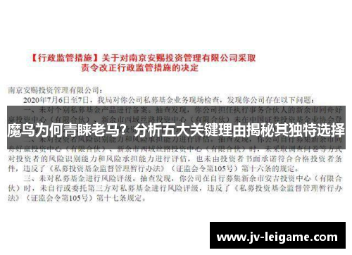 魔鸟为何青睐老马?分析五大关键理由揭秘其独特选择 魔鸟为何青睐老马?分析五大关键理由揭秘其独特选择